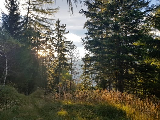 Maria Brettfall - Schrofenmarterl 1.140 m (Wanderung) Maria Brettfall Schrofenmarterl 1.140 m Wanderung 3