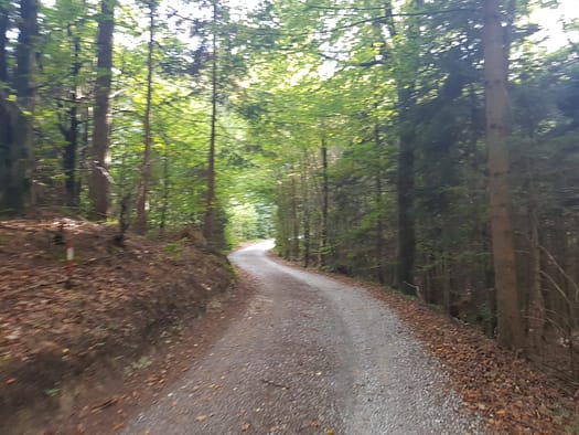 Maria Brettfall - Schrofenmarterl 1.140 m (Wanderung) Maria Brettfall Schrofenmarterl 1.140 m Wanderung 5