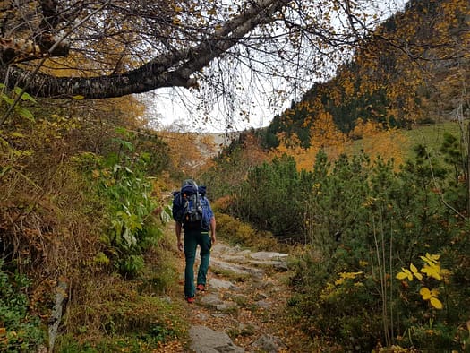Plauener Hütte 2.363 m (Wanderung) Plauener Huette 2.363 m Wanderung 13