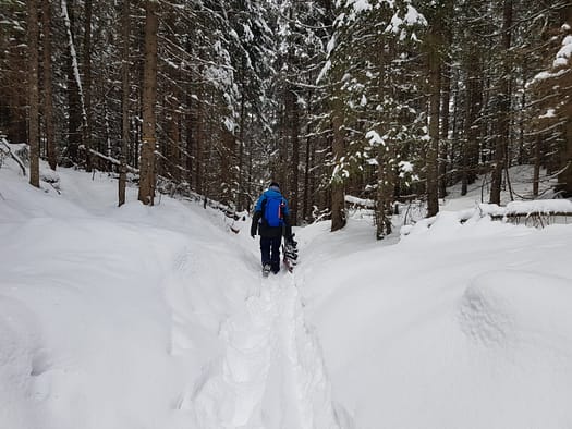 Filz Rast 1.980 m (Skitour) Filz Rast 1.980 m Skitour 5