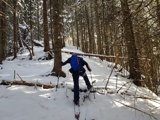 Filz Rast 1.980 m (Skitour) Filz Rast 1.980 m Skitour 8