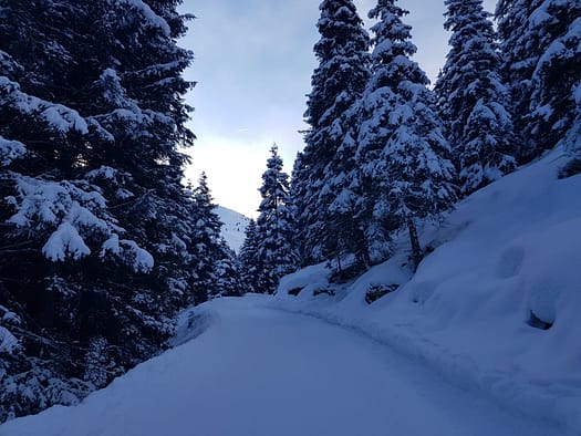 Roßkopf 2.560 m (Skitour) Rosskopf 2.560 m von Hochfuegen Skitour 1