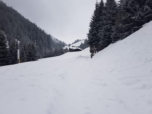 Almkogel 2.419 m (Skitour) Almkogel 2.419 m Skitour 1