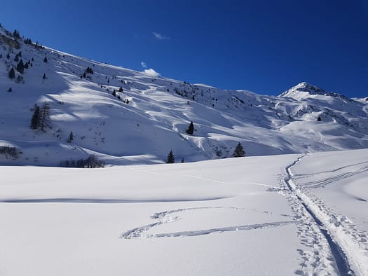 Almkogel 2.419 m (Skitour) Almkogel 2.419 m Skitour 4