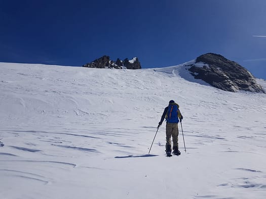 Hochwilde Nordgipfel 3.461 m (Skihochtour) Hochwilde Nordgipfel 3.461 m Skihochtour 18