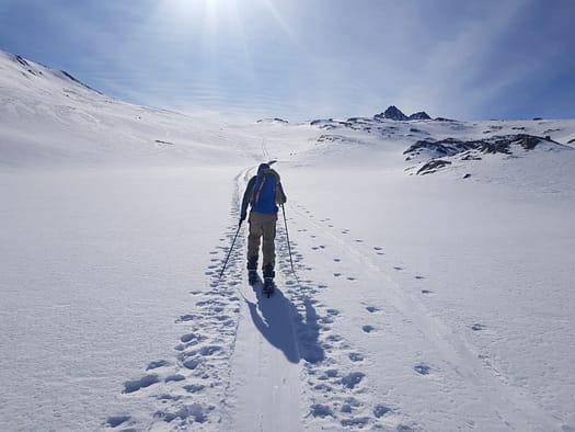 Hochwilde Nordgipfel 3.461 m (Skihochtour) Hochwilde Nordgipfel 3.461 m Skihochtour 26