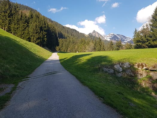 Hamberg 2.095 m (Wanderung) Hamberg 2.095 m Wanderung 1