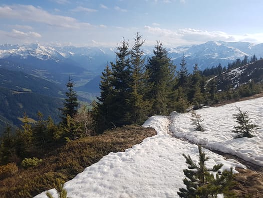 Hamberg 2.095 m (Wanderung) Hamberg 2.095 m Wanderung 14