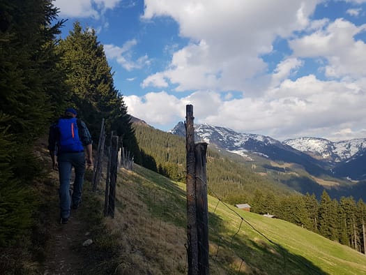 Hamberg 2.095 m (Wanderung) Hamberg 2.095 m Wanderung 19