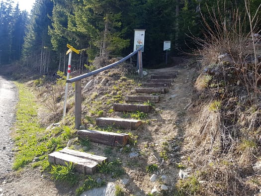 Hamberg 2.095 m (Wanderung) Hamberg 2.095 m Wanderung 22