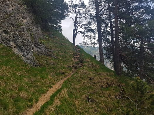 Seebergspitze 2.085 m (Wanderung) Seebergspitze 2.085 m Wanderung 23