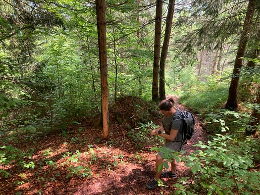 Seebergspitze 2.085 m (Wanderung) Seebergspitze 2.085 m Wanderung 5