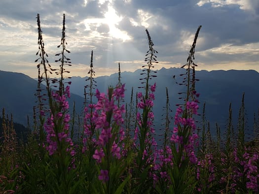 Konkordiahütte 2.850 m von der Fiescheralp (Hochtour) WhatsApp Image 2022 07 28 at 12.22.30