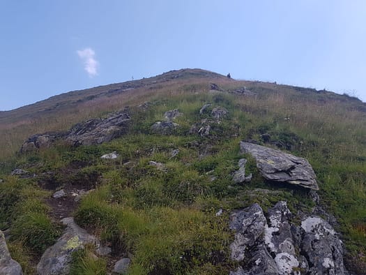 Gaulspitze 2.411 m (Wanderung) Gaulspitze 2.411 m Wanderung 12