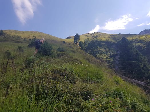 Gaulspitze 2.411 m (Wanderung) Gaulspitze 2.411 m Wanderung 15