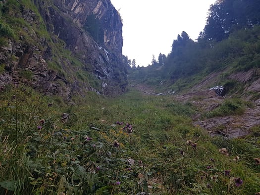 Gaulspitze 2.411 m (Wanderung) Gaulspitze 2.411 m Wanderung 21