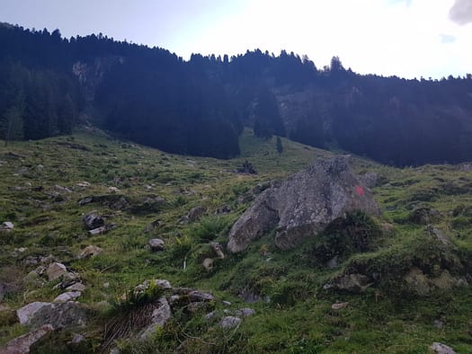 Gaulspitze 2.411 m (Wanderung) Gaulspitze 2.411 m Wanderung 22