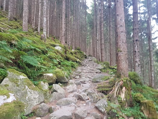 Gaulspitze 2.411 m (Wanderung) Gaulspitze 2.411 m Wanderung 26