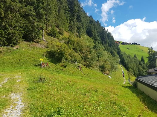 Grüblspitze 2.395 m (Wanderung) Grueblspitze 2.395 m Wanderung 16
