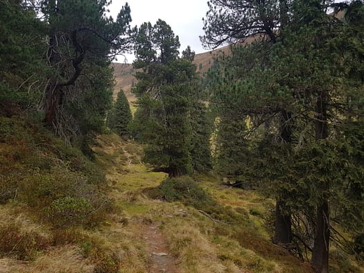 Königsleitenspitze 2.325 m, Müllachgeier 2.254 m, Brucheck 2.144 m (Wanderung) Koenigsleitenspitze 2.325 m Muellachgeier 2.254 m Brucheck 2.144 m Wanderung 17