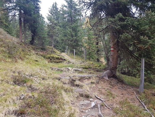 Königsleitenspitze 2.325 m, Müllachgeier 2.254 m, Brucheck 2.144 m (Wanderung) Koenigsleitenspitze 2.325 m Muellachgeier 2.254 m Brucheck 2.144 m Wanderung 18