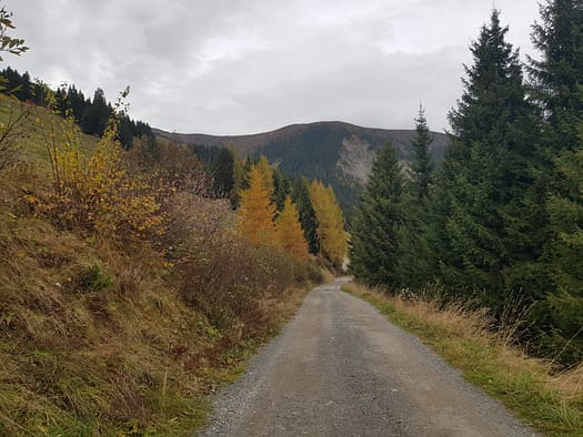 Königsleitenspitze 2.325 m, Müllachgeier 2.254 m, Brucheck 2.144 m (Wanderung) Koenigsleitenspitze 2.325 m Muellachgeier 2.254 m Brucheck 2.144 m Wanderung 19