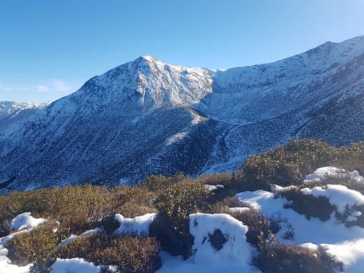 Roßkogel 2.646 m, Kögele 2.195 m (Wanderung) Rosskogel 2.646 m Koegele 2.195 m Wanderung 11