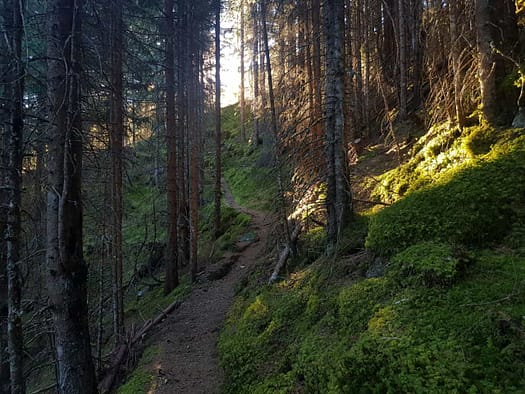 Roßkogel 2.646 m, Kögele 2.195 m (Wanderung) Rosskogel 2.646 m Koegele 2.195 m Wanderung 30