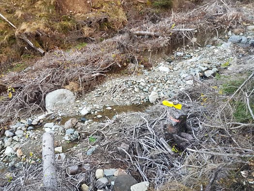 Roßkogel 2.646 m, Kögele 2.195 m (Wanderung) Rosskogel 2.646 m Koegele 2.195 m Wanderung 31