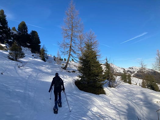 Wetterkreuzspitze 2.256 m (Schneeschuhwandern) Wetterkreuzspitze 7