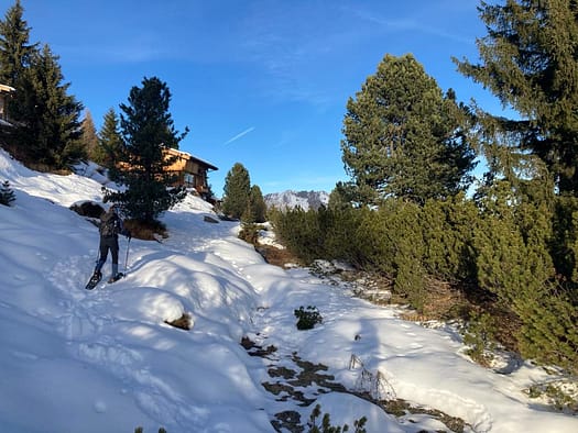 Wetterkreuzspitze 2.256 m (Schneeschuhwandern) Wetterkreuzspitze 8