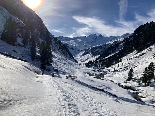 Gabler 3.263 m (Skitour) Versuch Gabler 3.263 m Skitour Versuch 21