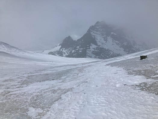 Strahlhorn 4.190 m (Skihochtour) Strahlhorn 4.190 m Skihochtour 33