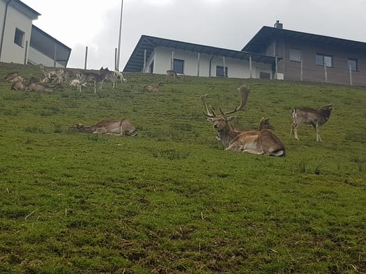 Putzi sucht die Wundernuss & erwartet eine Überraschung (Themenwanderwege) Putzi erwartet eine Ueberraschung Themenwanderweg 1