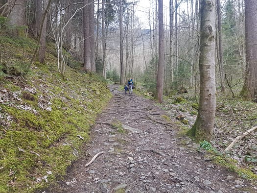Die Wunder der Natur (Themenwanderweg) Putzi erwartet eine Ueberraschung Themenwanderweg 2