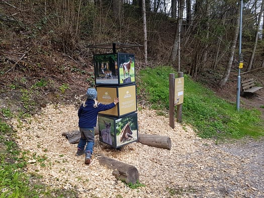 Putzi sucht die Wundernuss & erwartet eine Überraschung (Themenwanderwege) Putzi erwartet eine Ueberraschung Themenwanderweg 4
