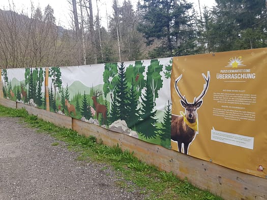 Putzi sucht die Wundernuss & erwartet eine Überraschung (Themenwanderwege) Putzi erwartet eine Ueberraschung Themenwanderweg 6