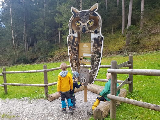 Putzi sucht die Wundernuss & erwartet eine Überraschung (Themenwanderwege) Putzi erwartet eine Ueberraschung Themenwanderweg 7
