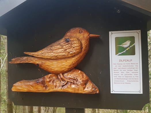 Vogellehrpfad & Schleierwasserfall (Themenwanderweg) Vogellehrpfad Schleierwasserfall Themenwanderweg 20