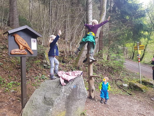 Vogellehrpfad & Schleierwasserfall (Themenwanderweg) Vogellehrpfad Schleierwasserfall Themenwanderweg 22
