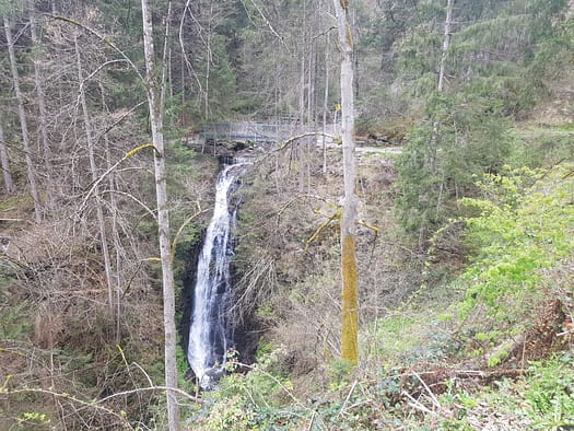 Vogellehrpfad & Schleierwasserfall (Themenwanderweg) Vogellehrpfad Schleierwasserfall Themenwanderweg 24