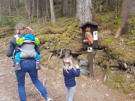 Vogellehrpfad & Schleierwasserfall (Themenwanderweg) Vogellehrpfad Schleierwasserfall Themenwanderweg 25