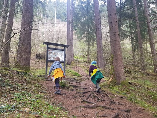 Vogellehrpfad & Schleierwasserfall (Themenwanderweg) Vogellehrpfad Schleierwasserfall Themenwanderweg 28