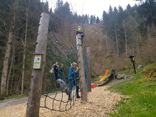 Vogellehrpfad & Schleierwasserfall (Themenwanderweg) Vogellehrpfad Schleierwasserfall Themenwanderweg 29