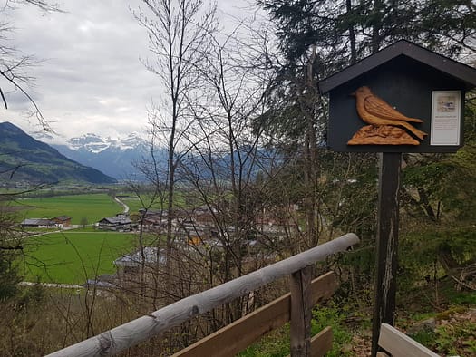 Vogellehrpfad & Schleierwasserfall (Themenwanderweg) Vogellehrpfad Schleierwasserfall Themenwanderweg 30