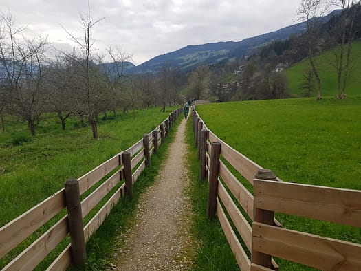 Vogellehrpfad & Schleierwasserfall (Themenwanderweg) Vogellehrpfad Schleierwasserfall Themenwanderweg 31