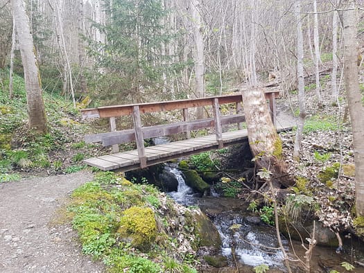 Die Wunder der Natur (Themenwanderweg) Wunder der Natur Themenwanderweg 9