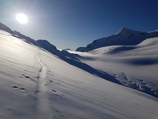 Großvenediger 3.674 m (Skitour) Grossvenediger 3.674 m Skitour 30