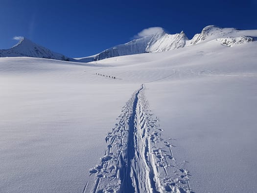 Großvenediger 3.674 m (Skitour) Grossvenediger 3.674 m Skitour 31