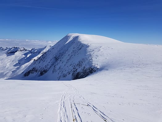 Großvenediger 3.674 m (Skitour) Grossvenediger 3.674 m Skitour 44